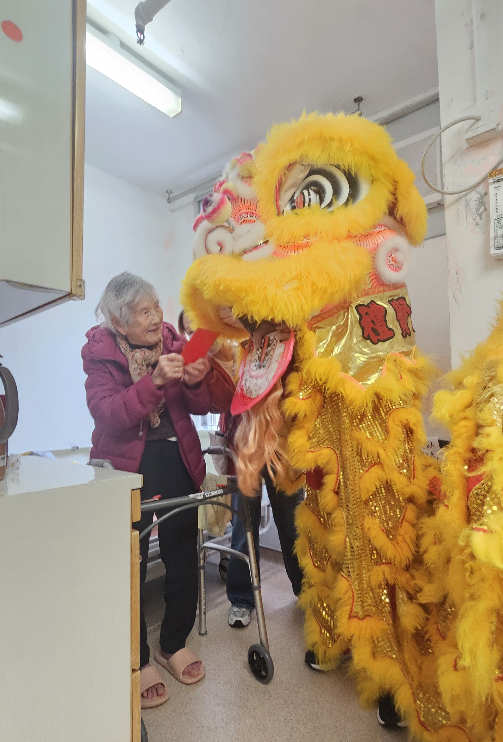 葵東醒獅賀新春01